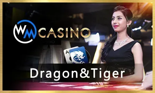 Major Sports Event Betting